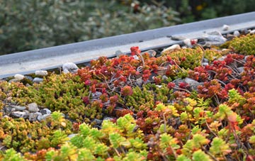 the cost of Beckley green roof installation