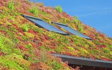 Beckley living roof systems